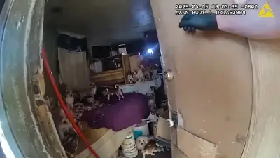 156 dogs, cats rescued from horror home of elderly Utah hoarder — who faces 637 charges of animal abuse