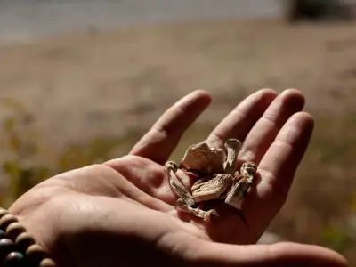 Can psilocybin save a troubled marriage?