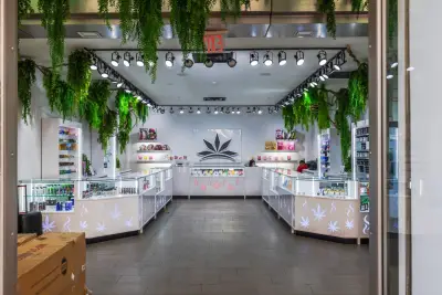 Booming Green: The Rapid Expansion of New York’s Legal Cannabis Market