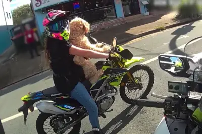 Daredevil fined for taking dog on wild motorbike ride: ‘Apply a paws-off approach’