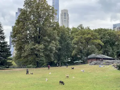 NYC lawmakers push for new legislation after pit bulls maul service dog on Upper West Side