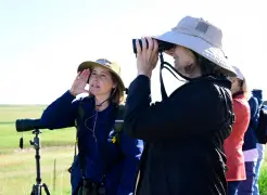 It’s peak bird migration season in Colorado. But their populations are in a steady decline.
