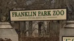 Adult, child injured by falling tree branch at Franklin Park Zoo