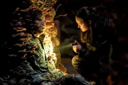 ‘The Last of Us’ Season 2 Episode 5 Ending Explained: What are the Spores? Does Ellie Kill [SPOILER]?