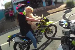 Daredevil fined for taking dog on wild motorbike ride: ‘Apply a paws-off approach’