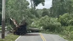 Strong winds down trees, knock out power across Cape Cod