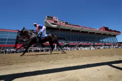 How to watch the Preakness Stakes 2025 live for free: Time, streaming, odds